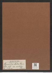 Hemiaulus mitra var. areolatus Grun. (de-Toni-Nr.: Genus 117, Species 3337) Zeichnungen Sammlung Grunow Mappe 03548 (Herbarium_W_Grunow_drawings_Folder_03548)
